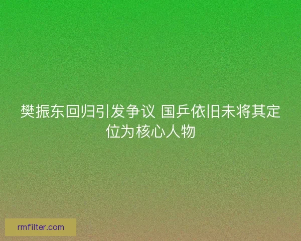樊振东回归引发争议 国乒依旧未将其定位为核心人物
